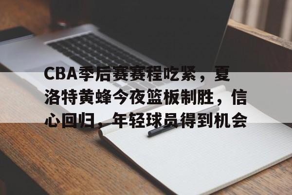 九游-CBA季后赛赛程吃紧，夏洛特黄蜂今夜篮板制胜，信心回归，年轻球员得到机会的简单介绍